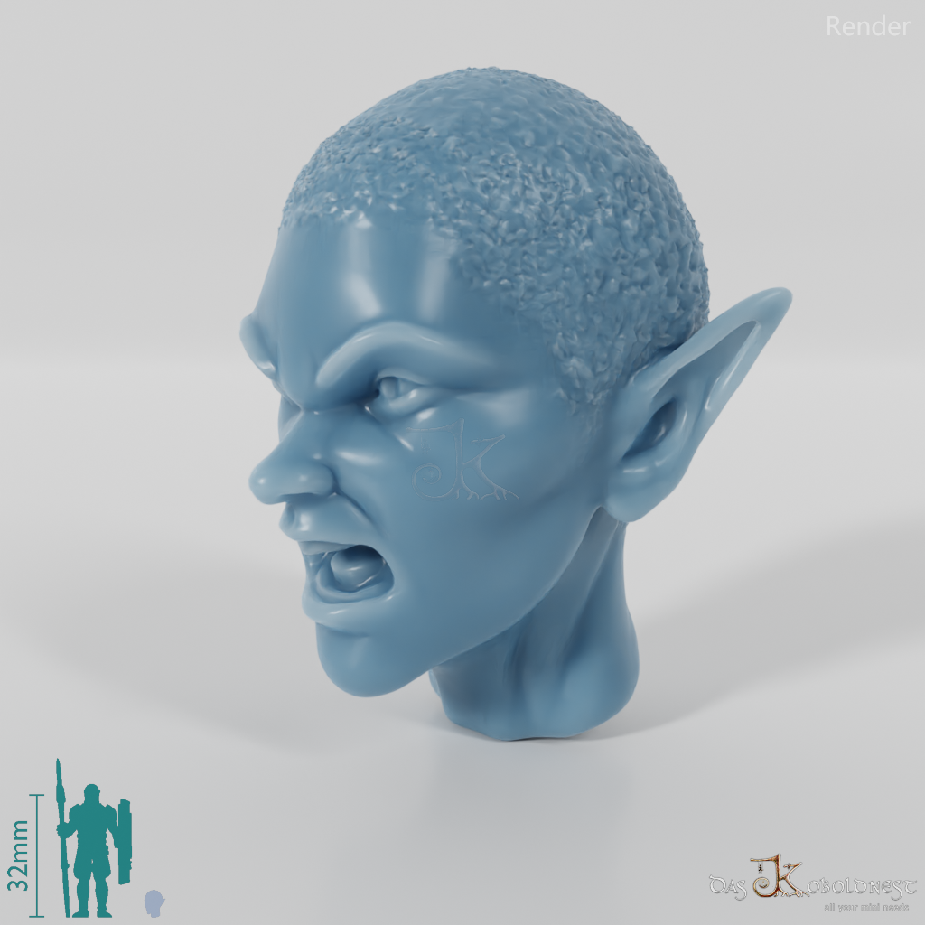 Woman's Head - Elfin Kahl (Angry)