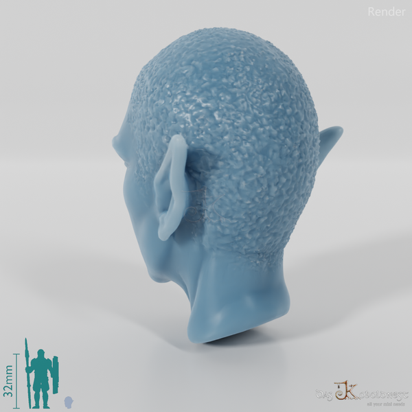 Woman's Head - Elfin Kahl (Angry)