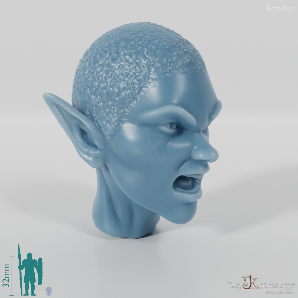 Woman's Head - Elfin Kahl (Angry)