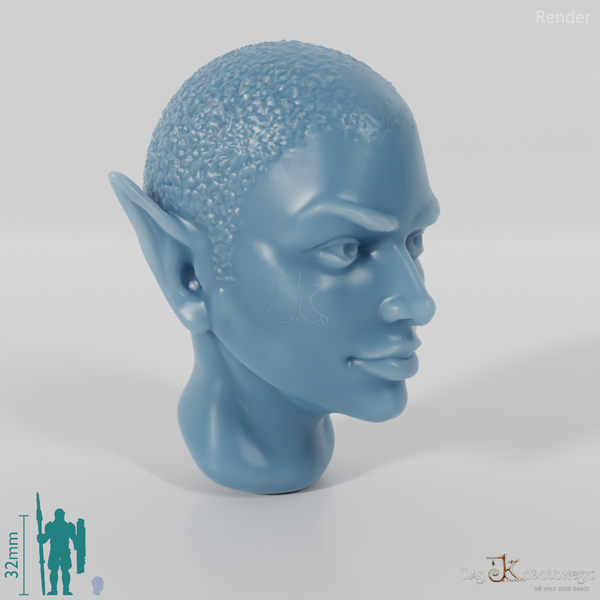 Woman's head - Elfin Kahl