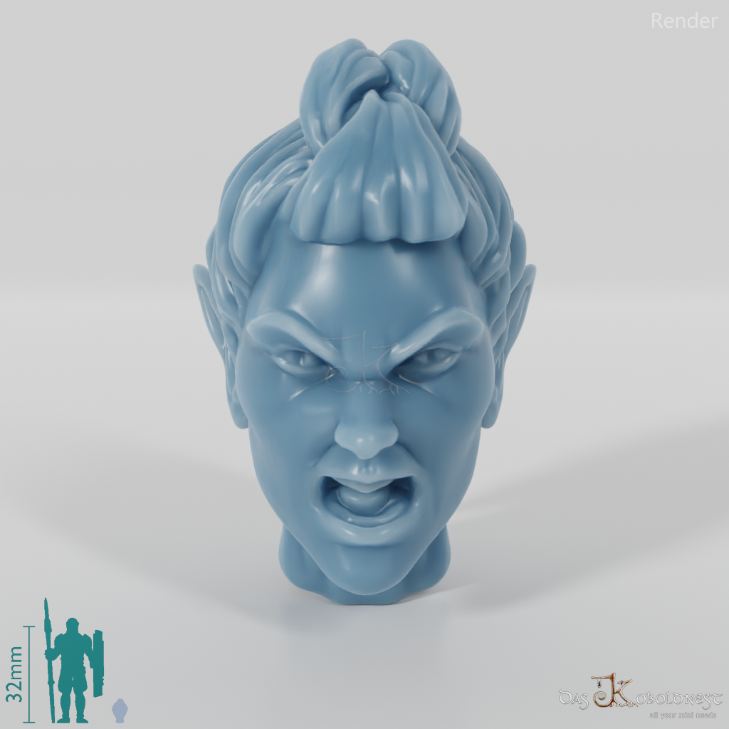 Woman's Head - Elf with Big Braid (Angry)