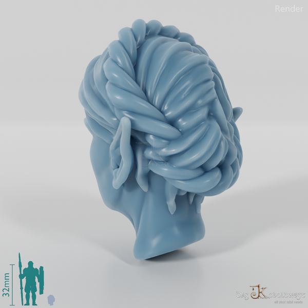 Female head - elf with braided wreath of hair