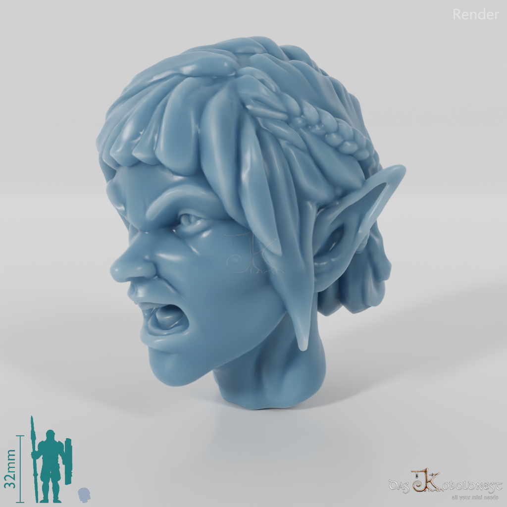 Woman's Head - Elf with Braided Strands (Angry)