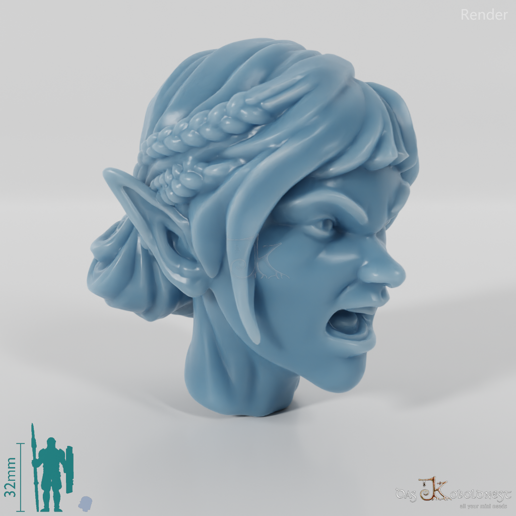 Woman's Head - Elf with Braided Strands (Angry)