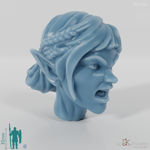 Woman's Head - Elf with Braided Strands (Angry)