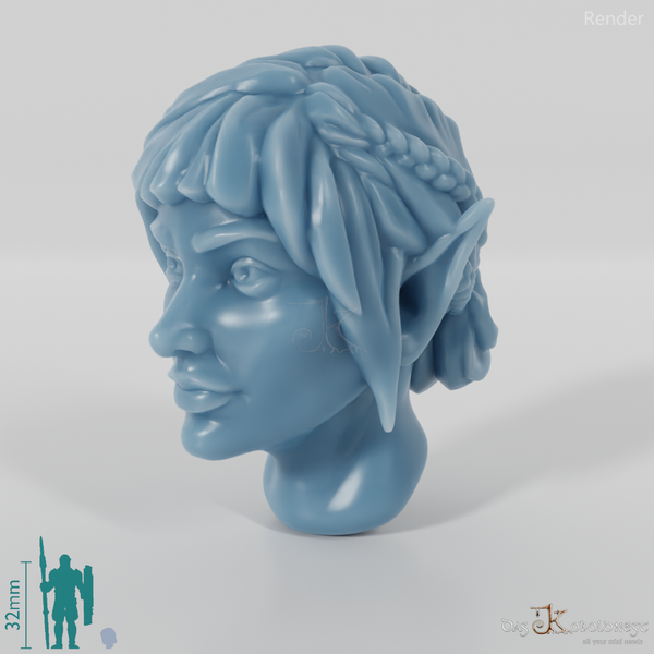 Female head - elf with braided strands