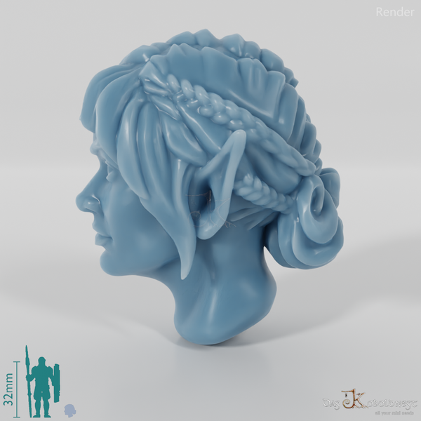 Female head - elf with braided strands