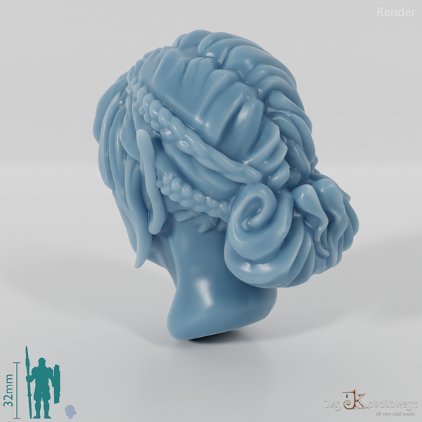 Female head - elf with braided strands