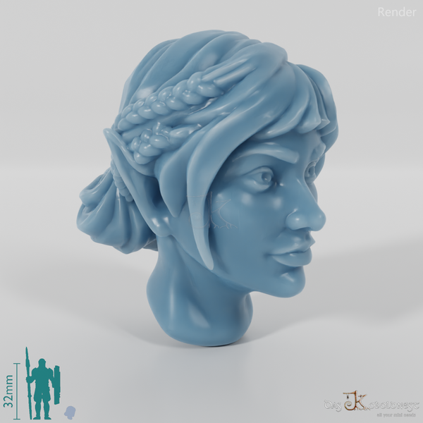 Female head - elf with braided strands
