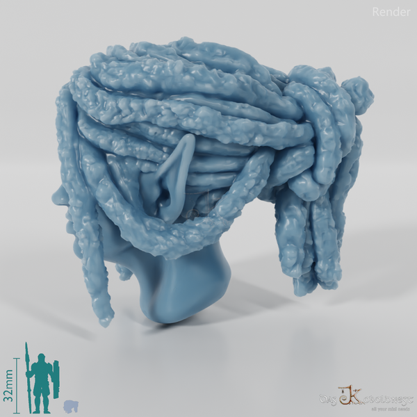 Female head - elf with dreadlocks