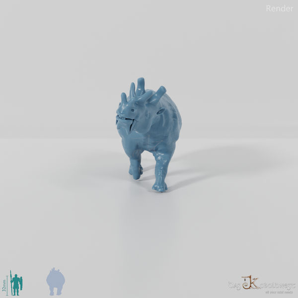 Eobasileus cornutus 04 - JJP