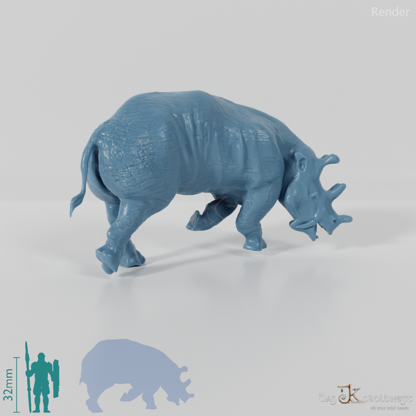 Eobasileus cornutus 05 - JJP