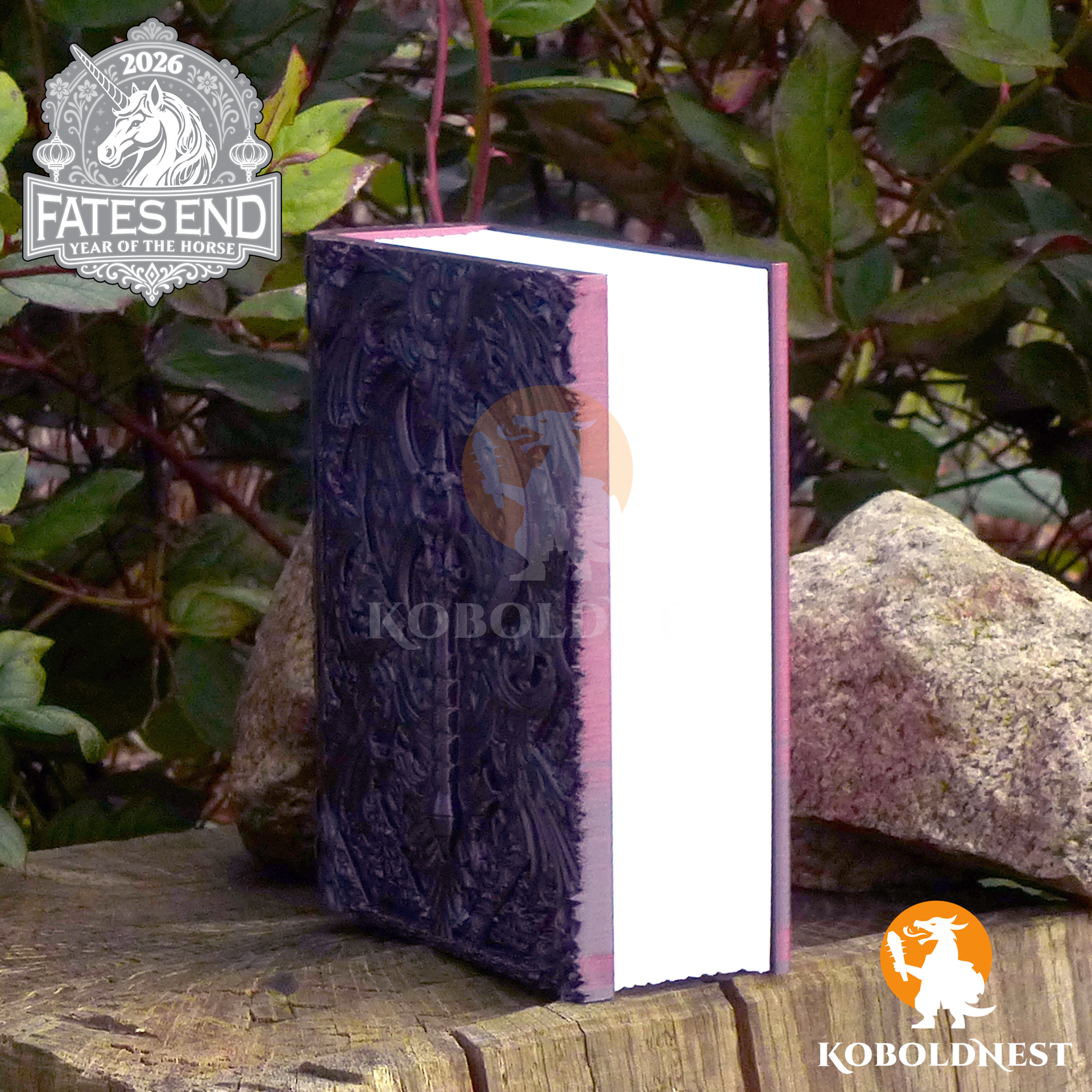 Foliantenbox - Charakterklasse Barbar