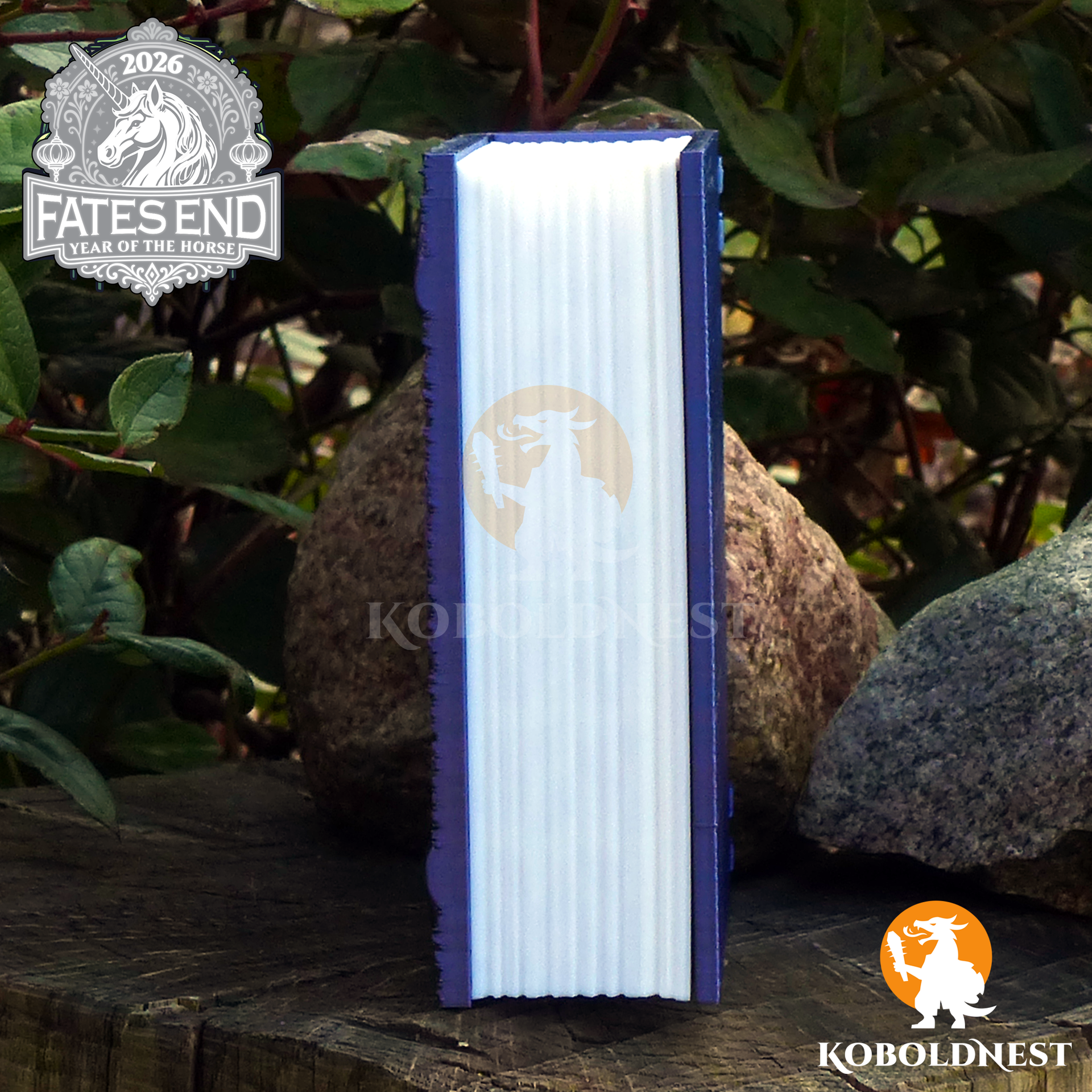 Foliantenbox - Charakterklasse Schurke