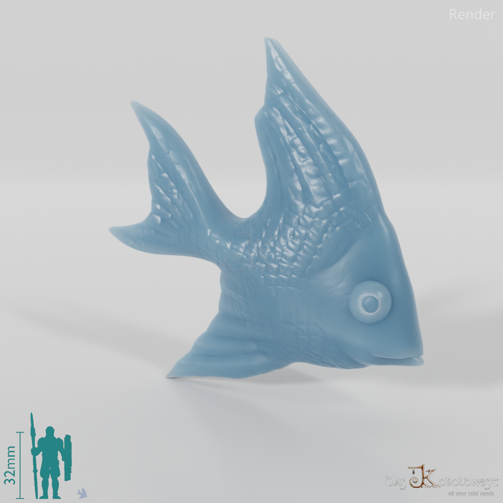 Fish - Angelfish 01