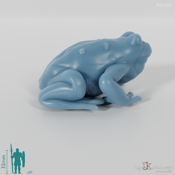 Frosch - Hexenkröte