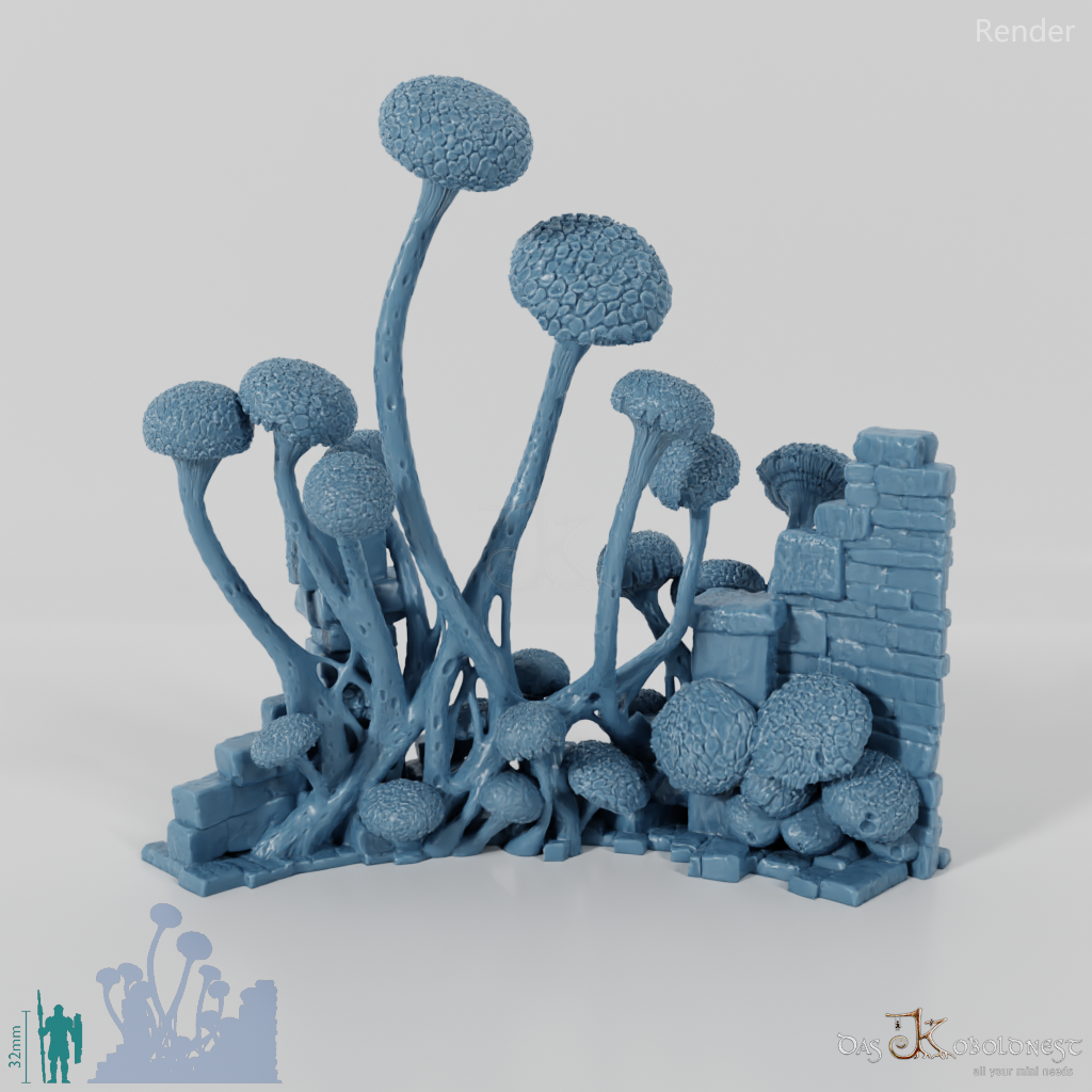 Mushroom-overgrown ruin G