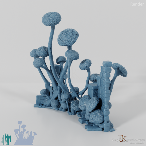 Pilzüberwucherte Ruine G