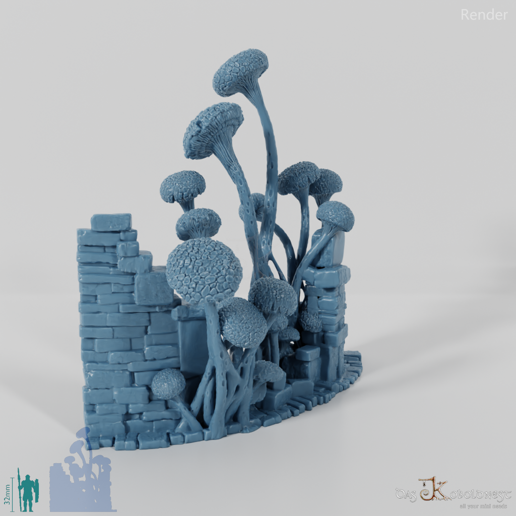 Mushroom-overgrown ruin G