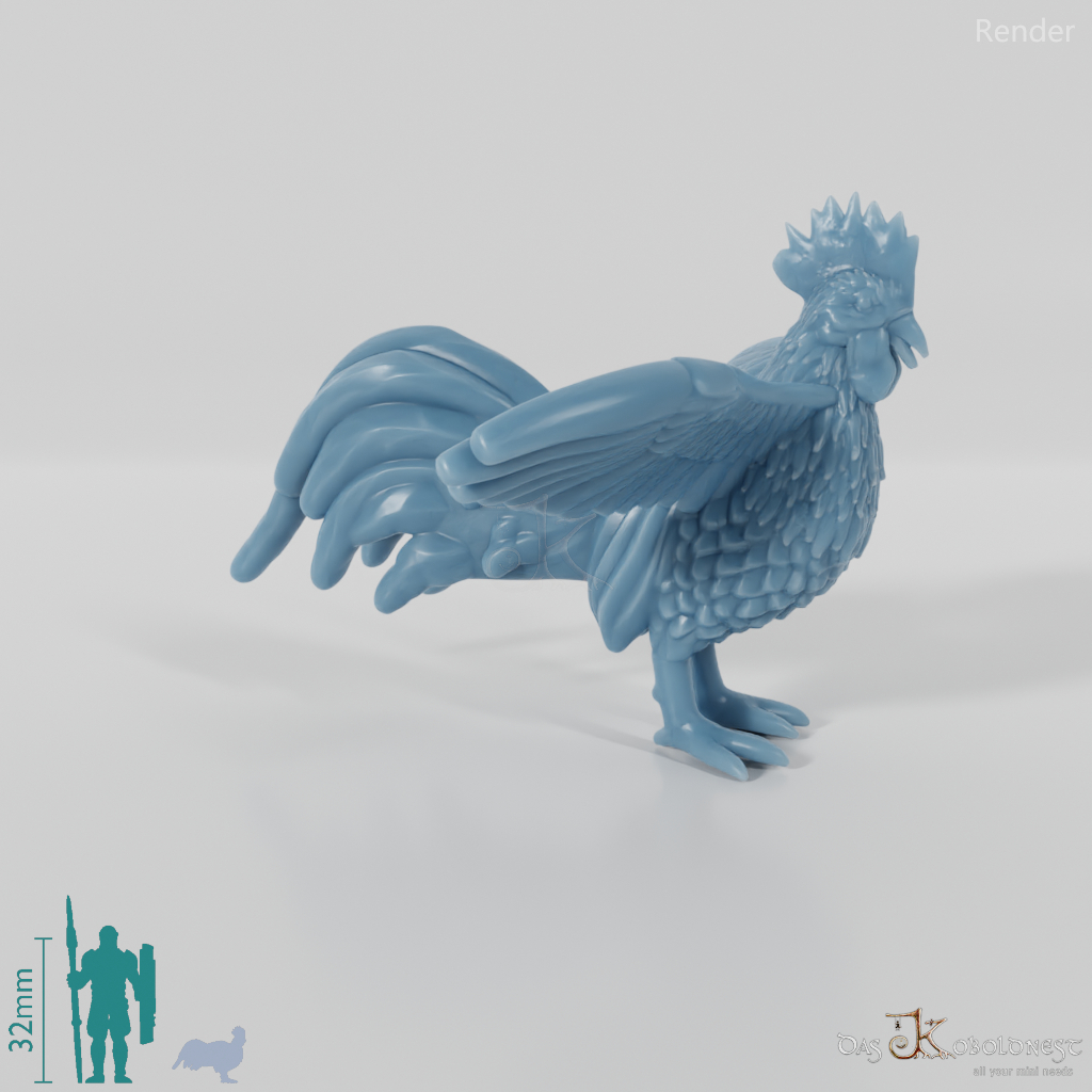 Chicken - Rooster 04