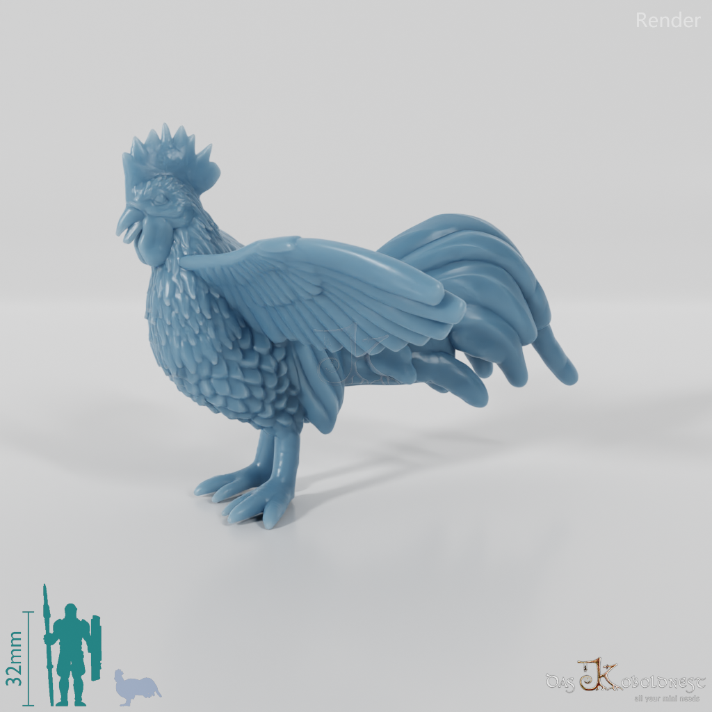 Chicken - Rooster 04