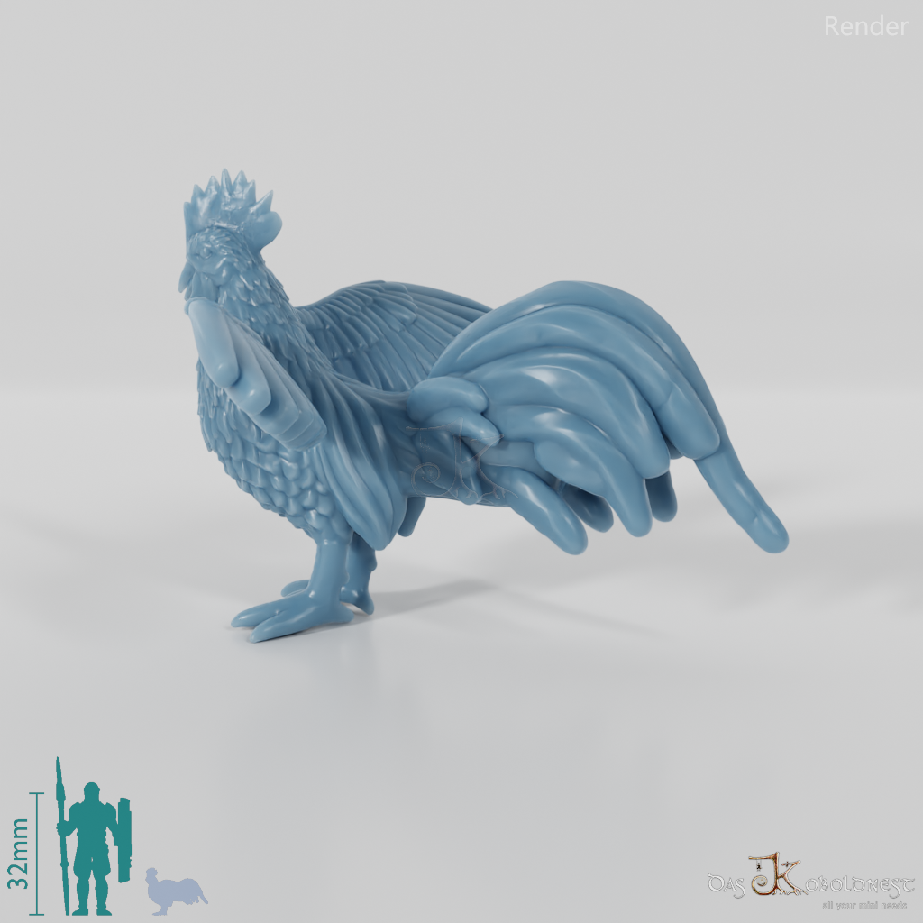 Chicken - Rooster 04