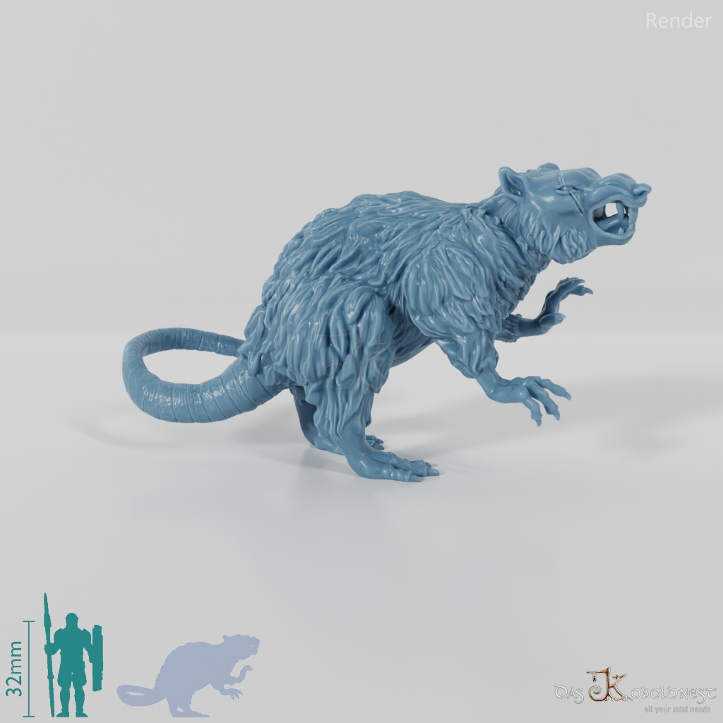 Angry giant rat 03