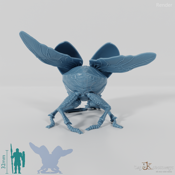 Käfer - Riesenskarabäus