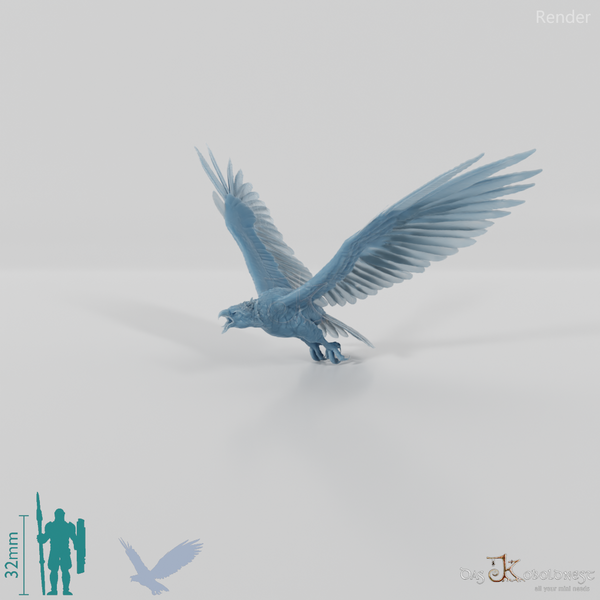 Hieraaetus morei 02 - JJP