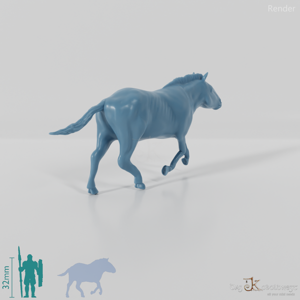 Hippidion principale 02 - JJP