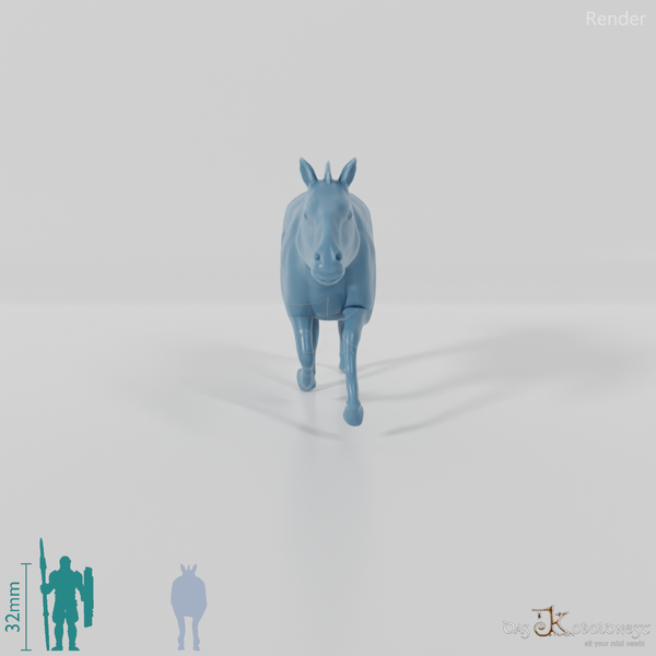 Hippidion principale 02 - JJP