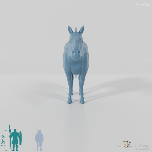 Hippidion principale 03 - JJP