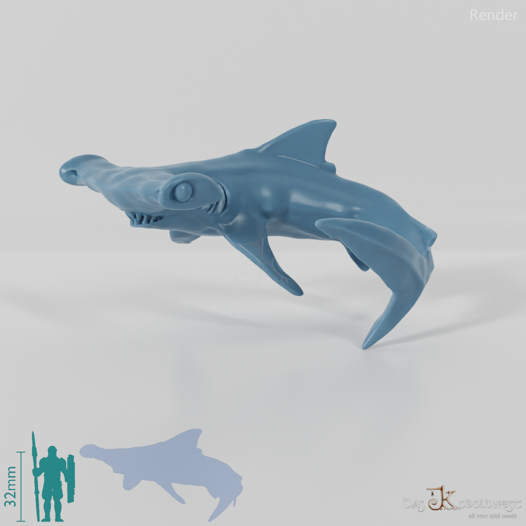 Shark - Hammerhead Shark 01