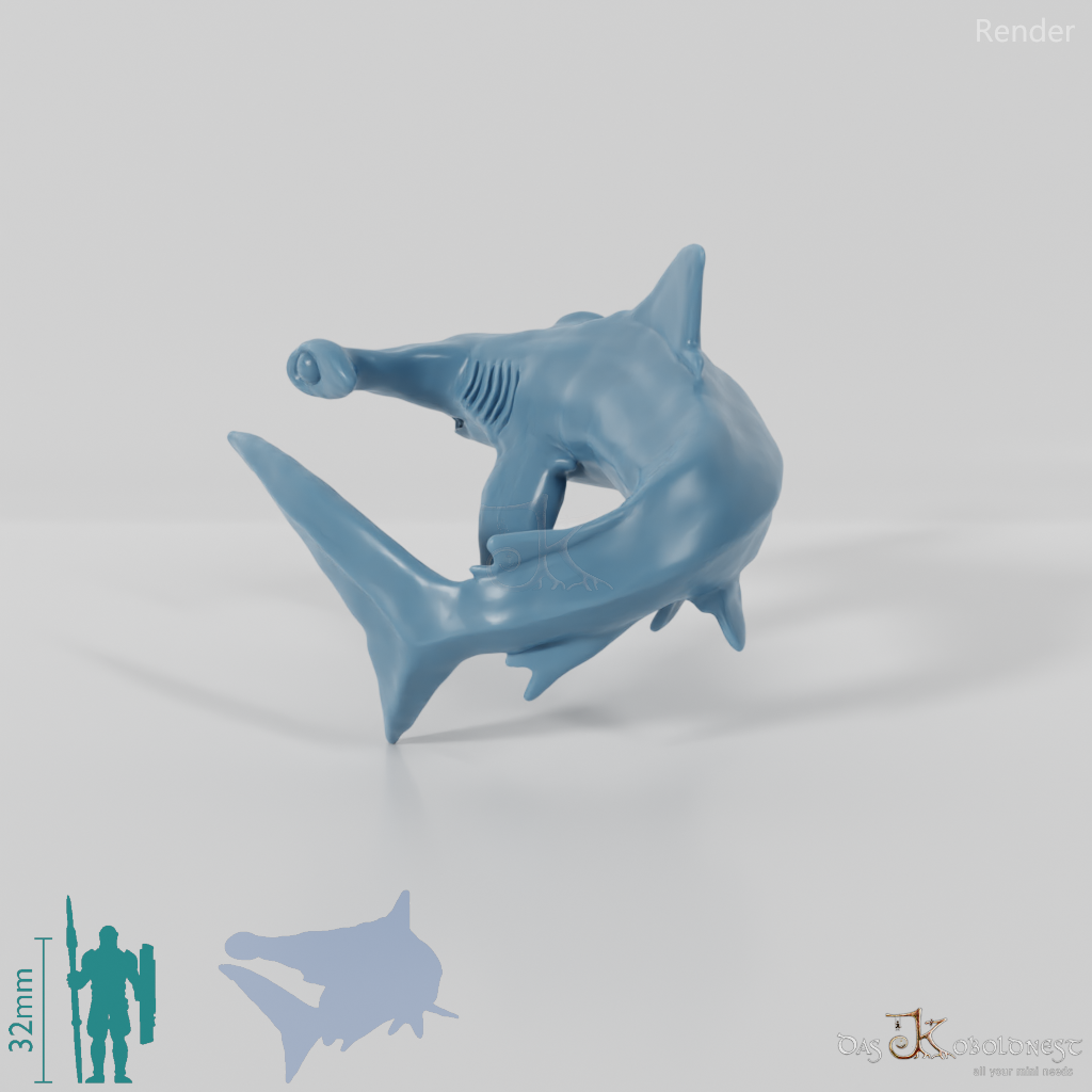 Shark - Hammerhead Shark 01