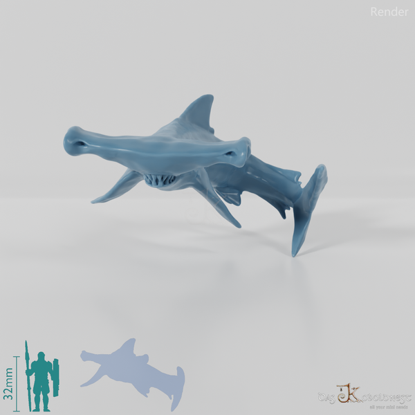 Shark - Hammerhead Shark 01