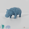 Hippo - hippopotamus 02