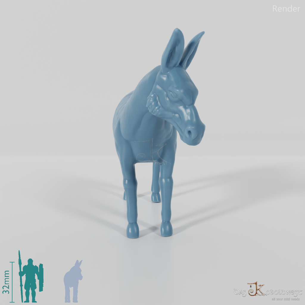 Donkey 01