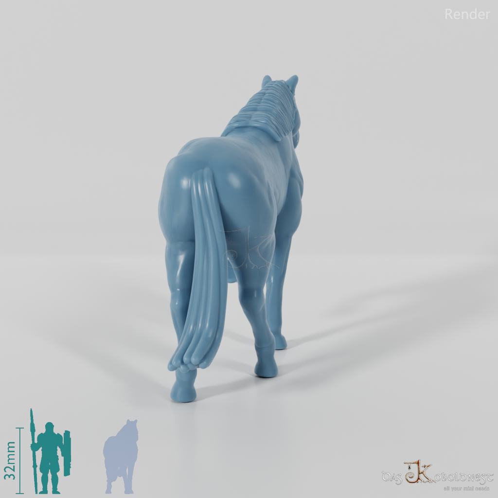 Horse - Horse 02