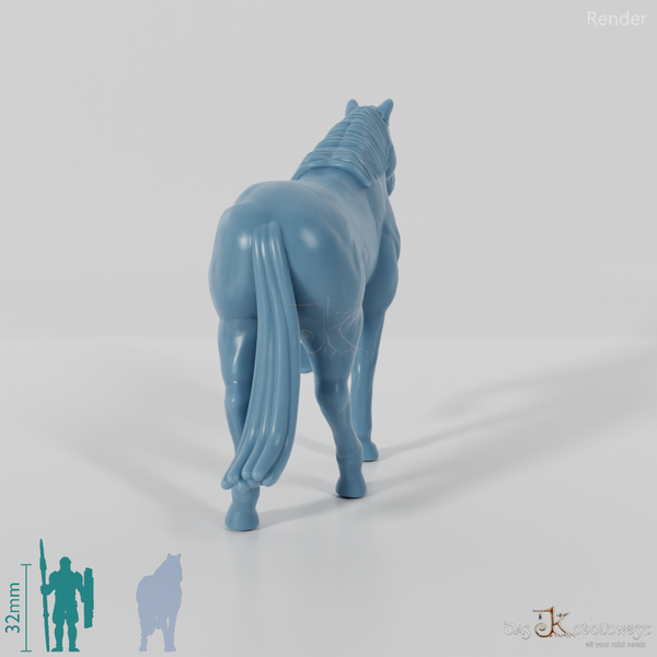 Horse - Horse 02