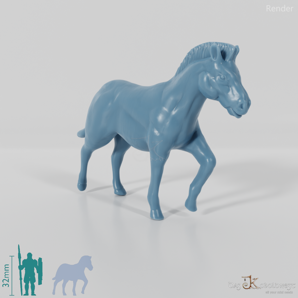 Horse - Zebra 01