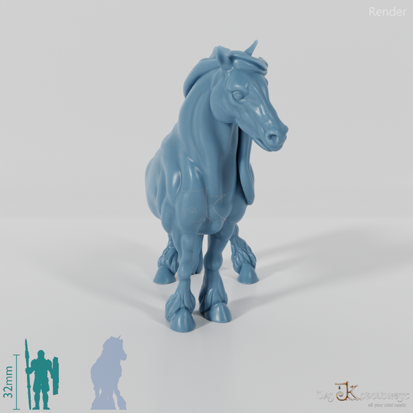 Horse - Muscular horse