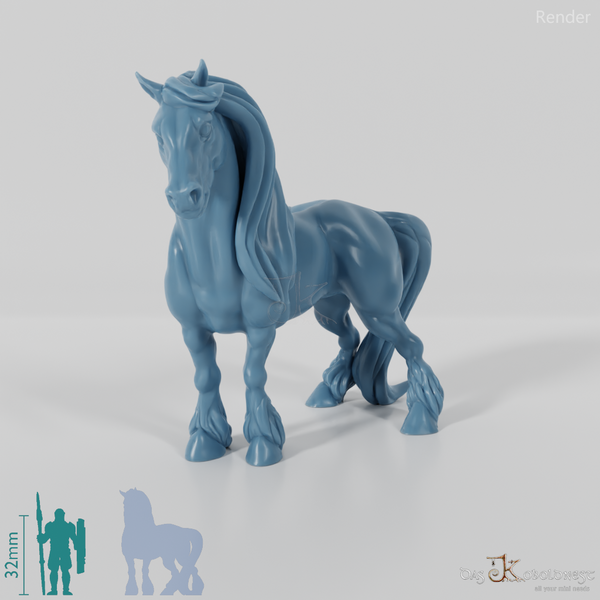 Horse - Muscular horse