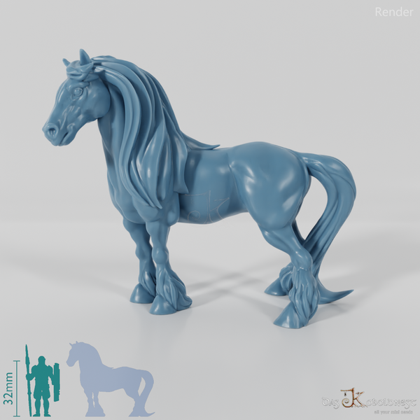 Horse - Muscular horse