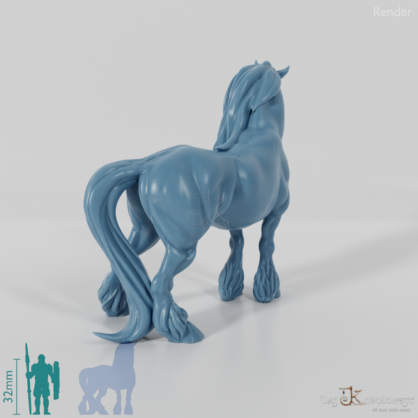 Horse - Muscular horse