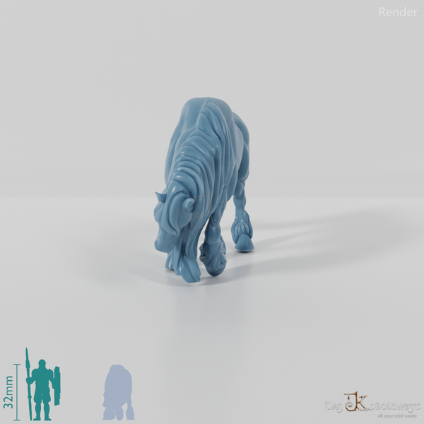 Horse - Muscular horse