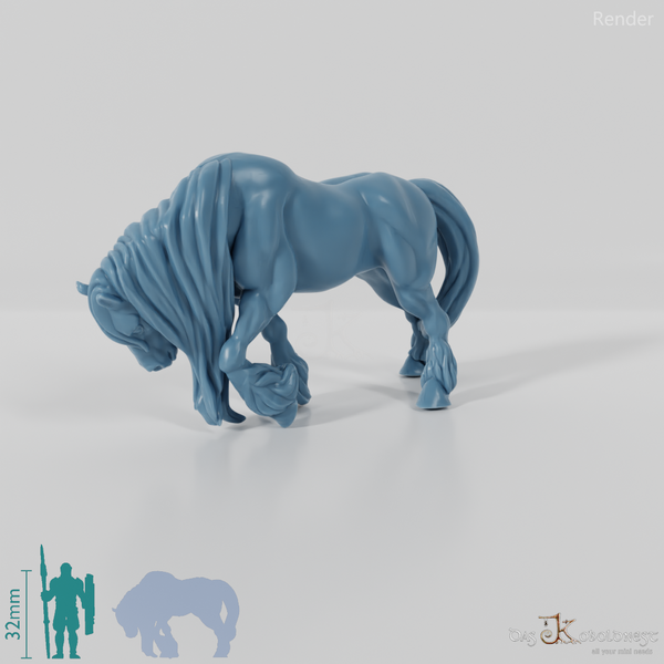 Horse - Muscular horse