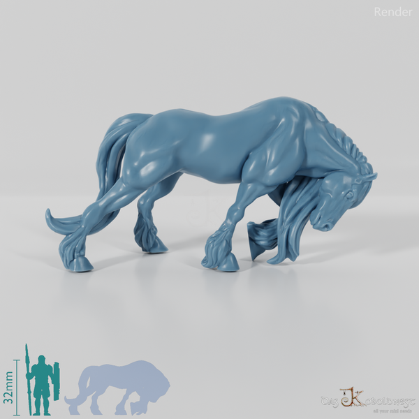 Horse - Muscular horse