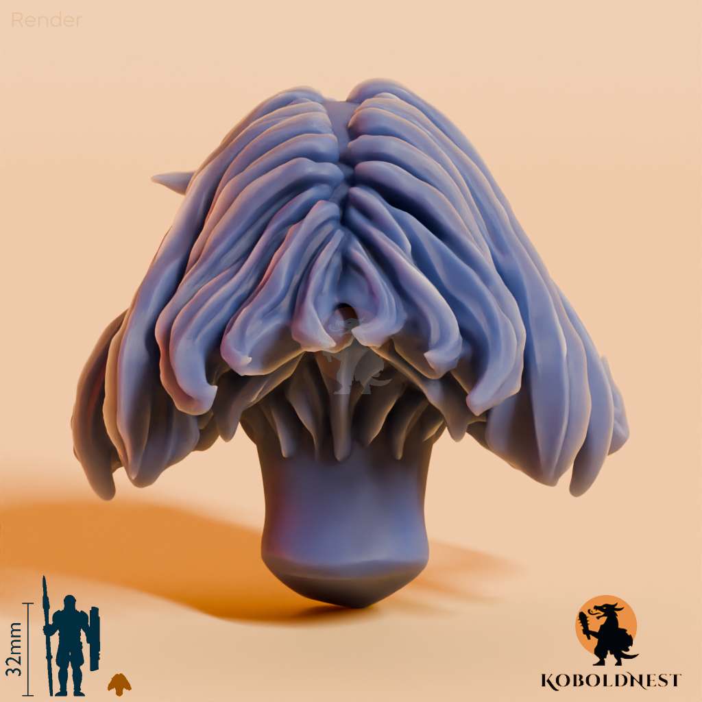 Frauenkopf - 69