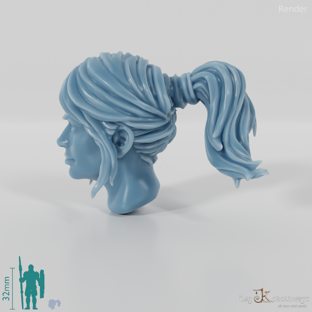 Woman's head - ponytail