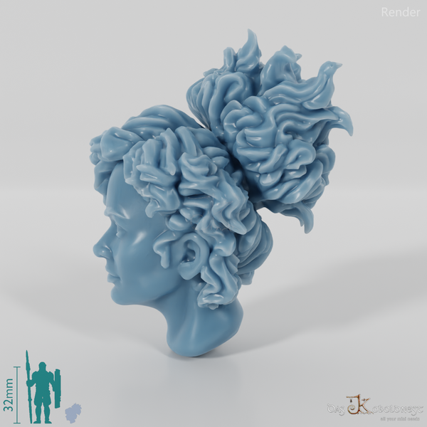 Woman's head - shaggy hair